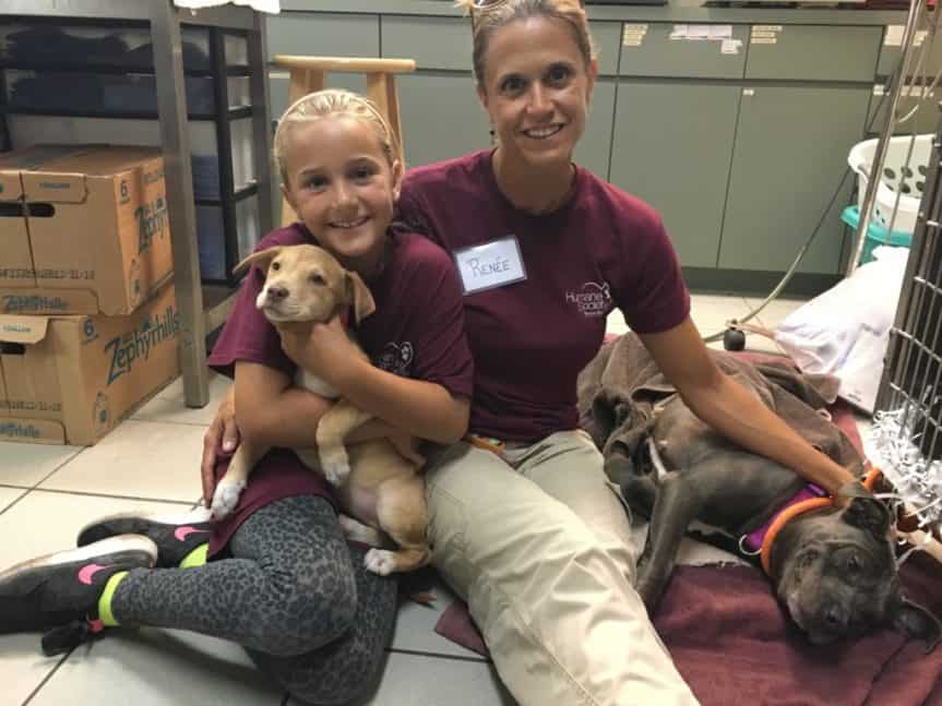 How To Volunteer With The Kids In Tampa Bay 10 Ways To Give Back   Humane Society 