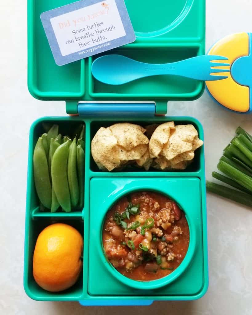 School lunchbox tips and ideas – Chef in disguise