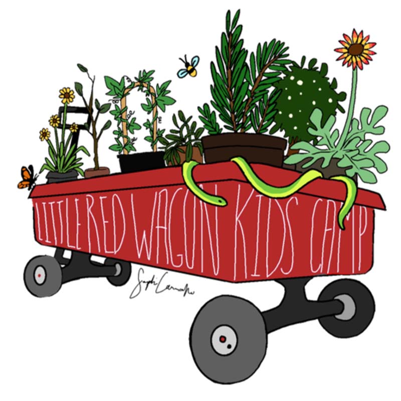 Little Red Wagon Butterfly Conservatory logo
