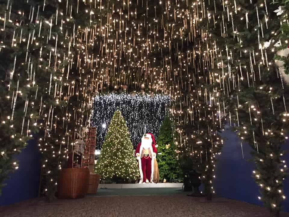 Robert's Christmas Wonderland in Clearwater
