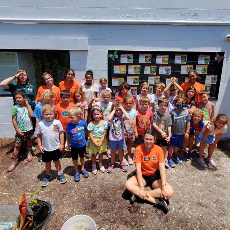 Summer Camp 768x768