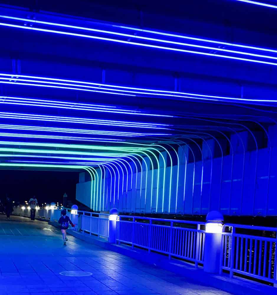 Tampa Riverwalk Lights on Tampa art installation 