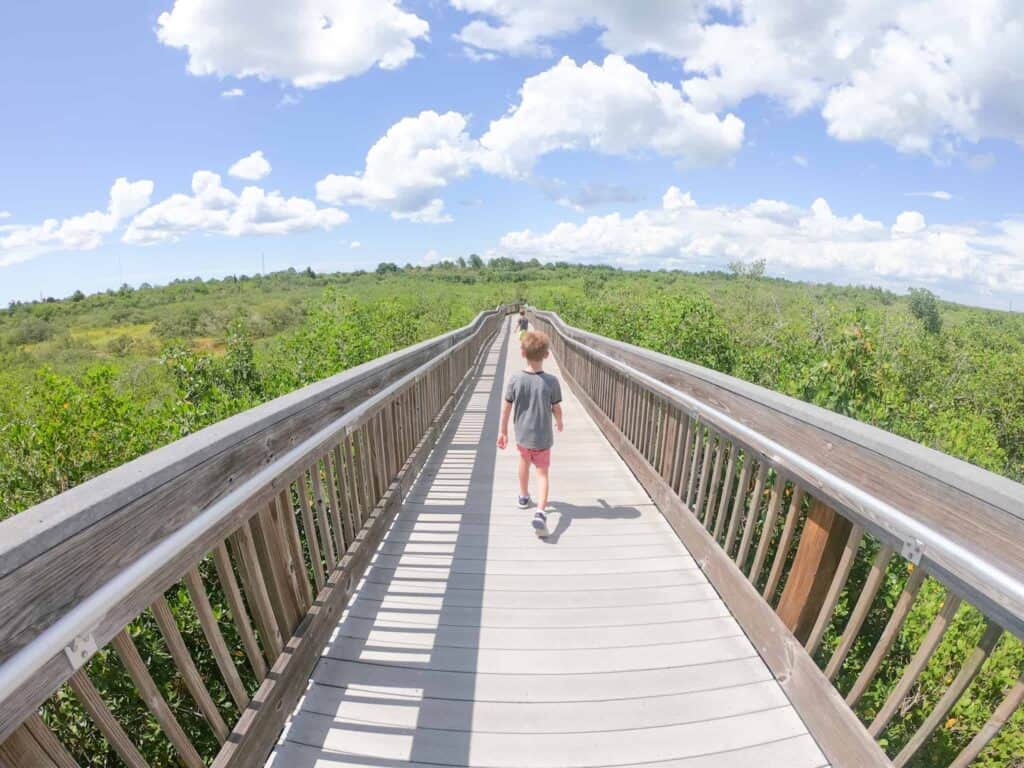 Weedon Island Preserve Boardwalk Free Things to Do in Tampa Bay