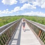 Free things to do in Tampa Bay with the kids Weedon Island Preserve