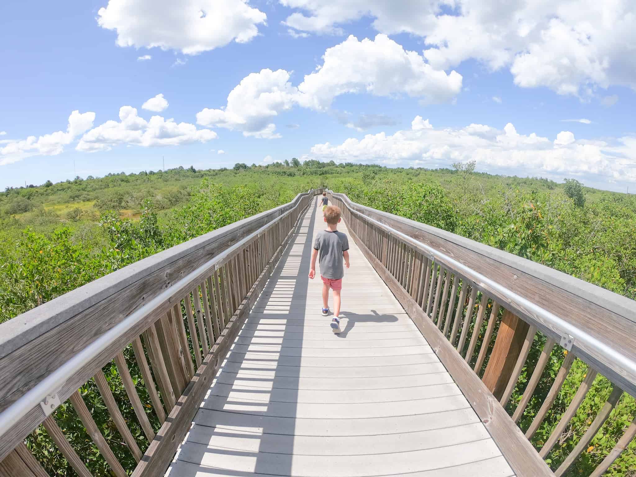 Free things to do in Tampa Bay with the kids Weedon Island Preserve