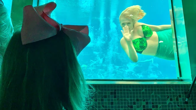 Weeki Wachee Springs State Park mermaids