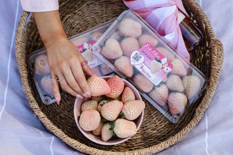 Wish Farms Strawberries