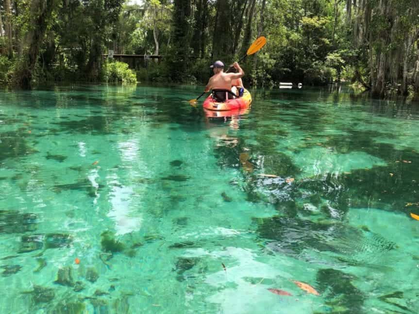 spring crystal river and three sisters springs