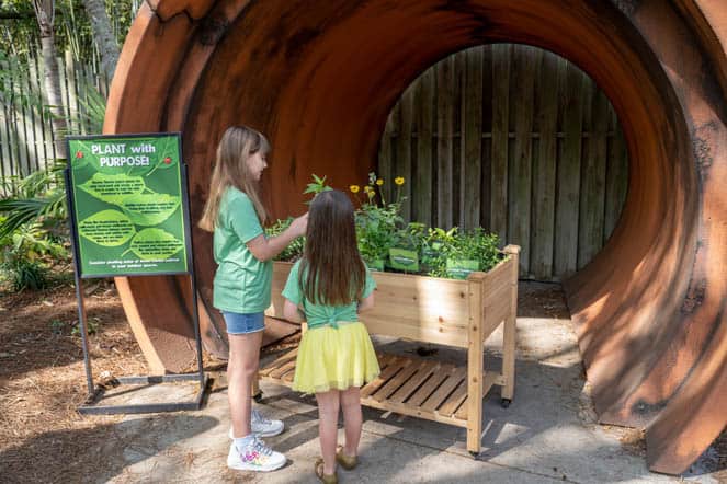 BUGTOPIA at ZooTampa Plant with Purpose