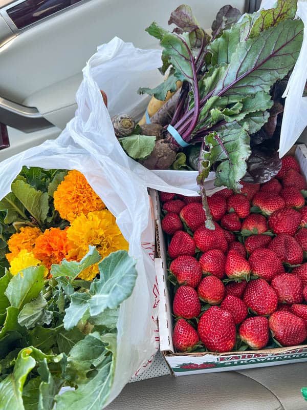 Strawberry Passion Organic Farm farmers market