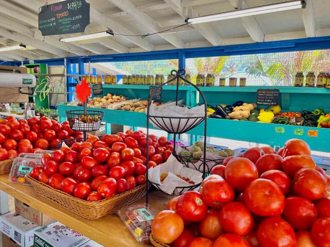 15+ Best Farmers Markets in Tampa Bay for Farm Fresh Produce