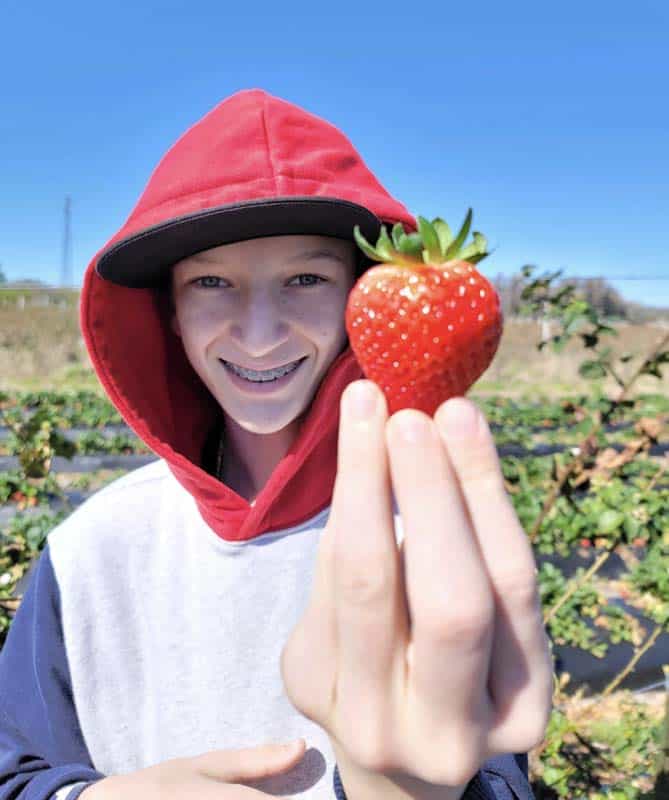 locally grown produce in school lunches