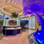 Celebrate Earth Day every day at Tampa Bay Watch Discover Center in St. Pete.