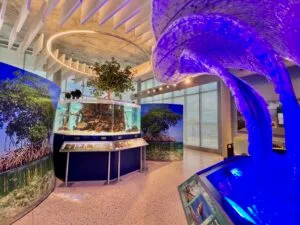 Celebrate Earth Day every day at Tampa Bay Watch Discover Center in St. Pete.