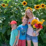 sweetfields u-pick flowers flower fields in tampa bay