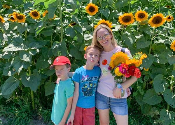 Where to pick sunflowers and other pretty flowers in Tampa Bay