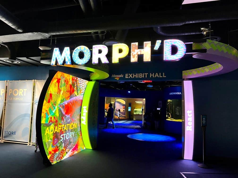 Check Out the New Weird and Wonderful World of MORPH'D at The Florida Aquarium!