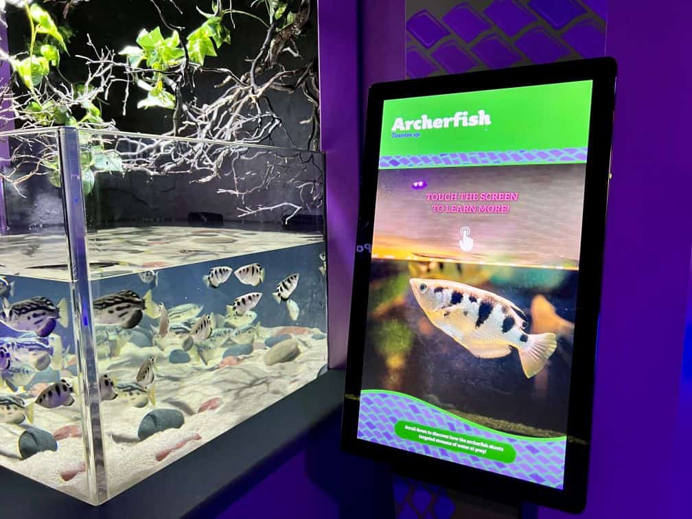 Check Out the New Weird and Wonderful World of MORPH'D at The Florida Aquarium!
