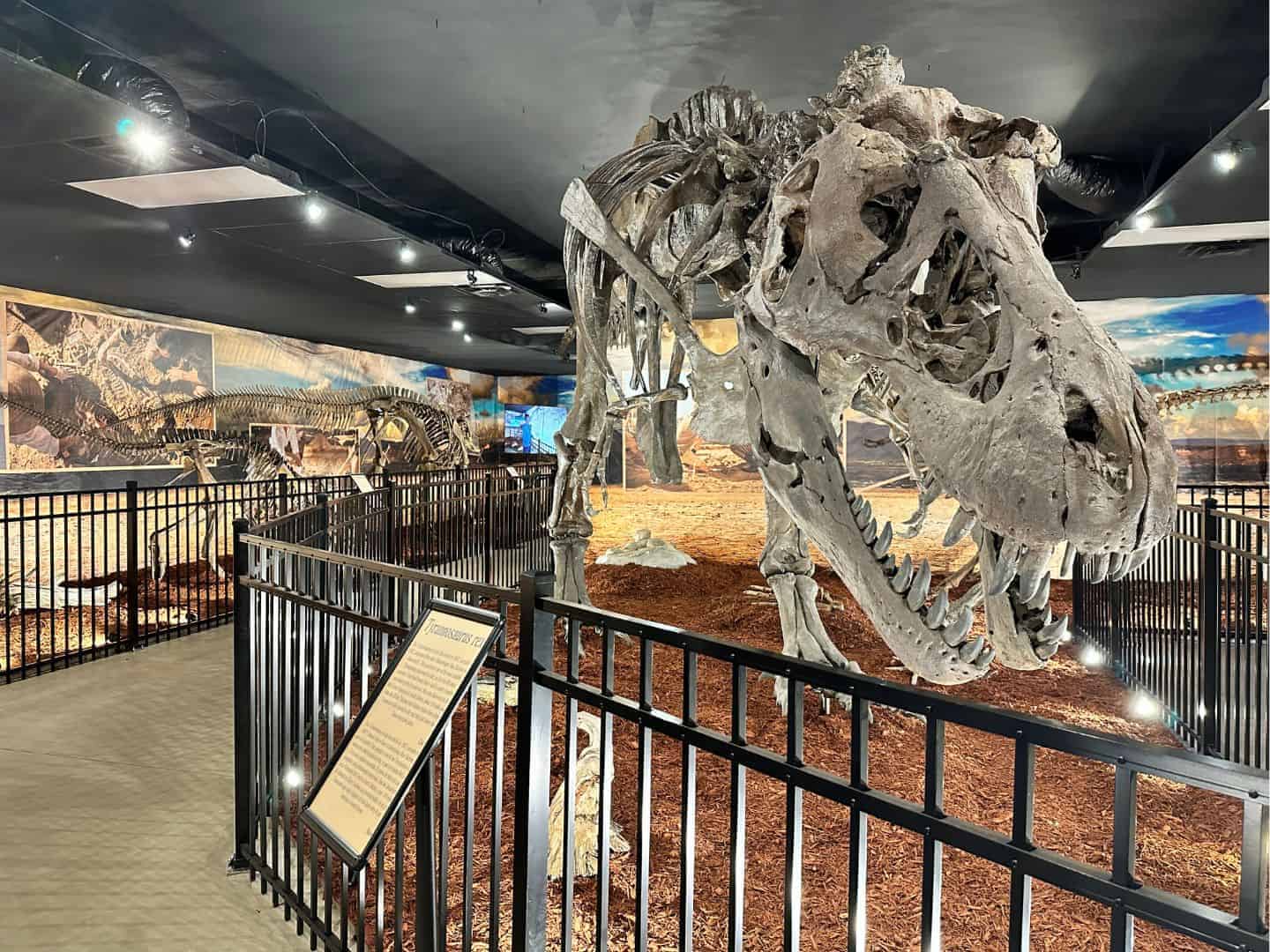 New-Doom-of-the-Dinosaurs-Exhibit-at-Dinosaur-World-Dani-Meyering