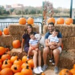 Tampa Bay's Best Pumpkin Patches Armature World