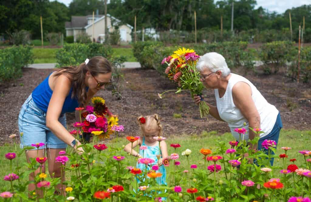 keel farms u-pick flowers