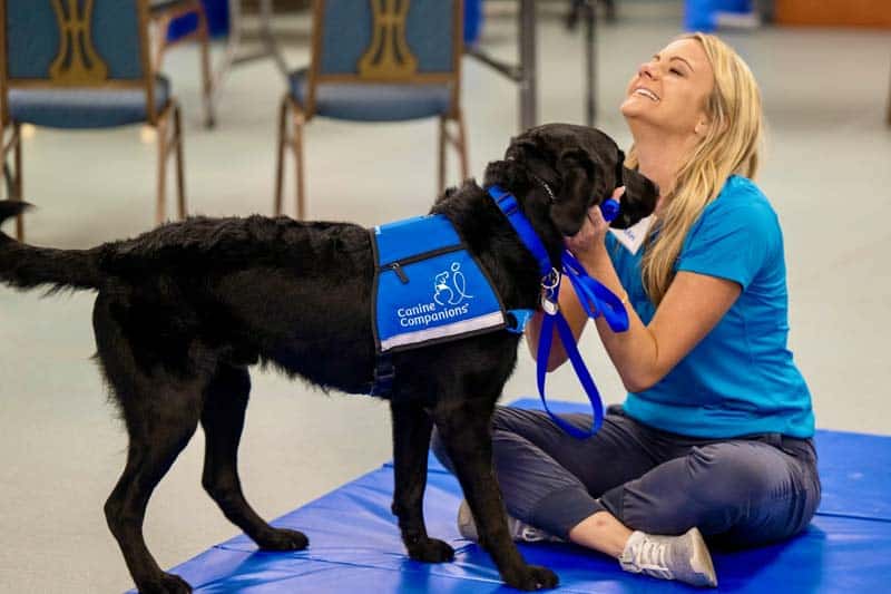 hospital facility dog program