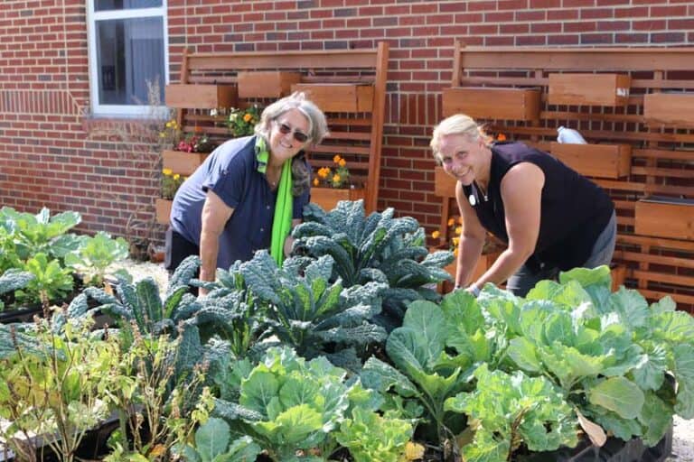 Tampa YMCA Garden Club