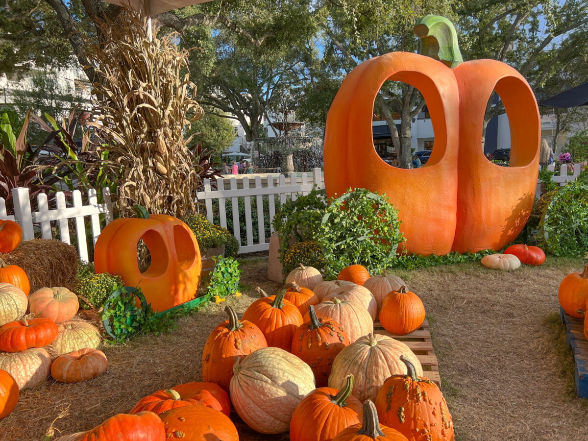 Cousins Holds Surprise Halloween Party For Local Children