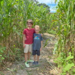 Sweetfields Corn Maze 2023.