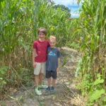 Sweetfields Corn Maze 2023.