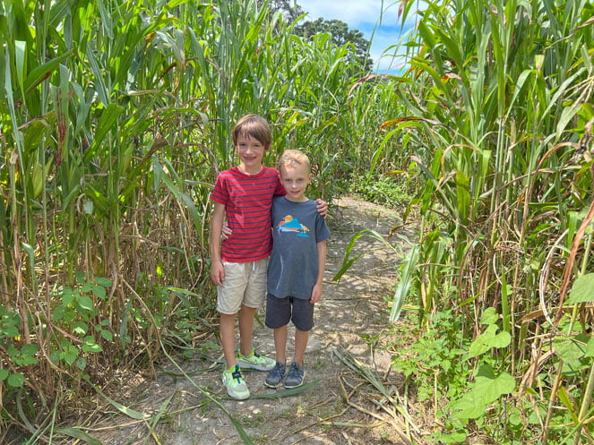 9+ Not-to-Miss Corn Mazes in Tampa Bay and Beyond