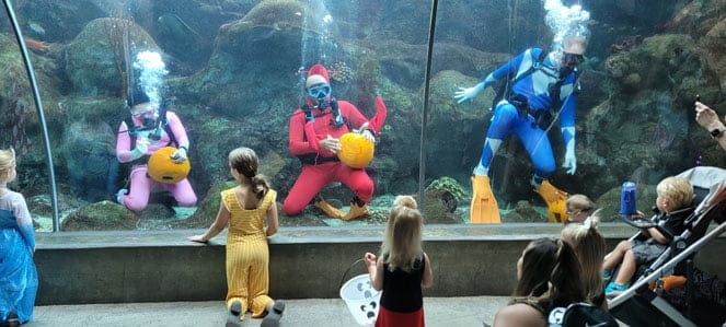 Underwater costumed divers at Guppyween in 2022 holding pumpkins