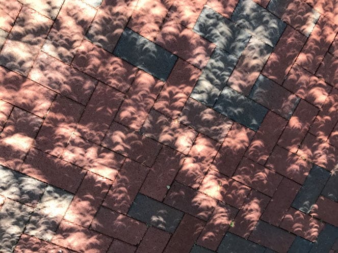 solar eclipse tree shadows
