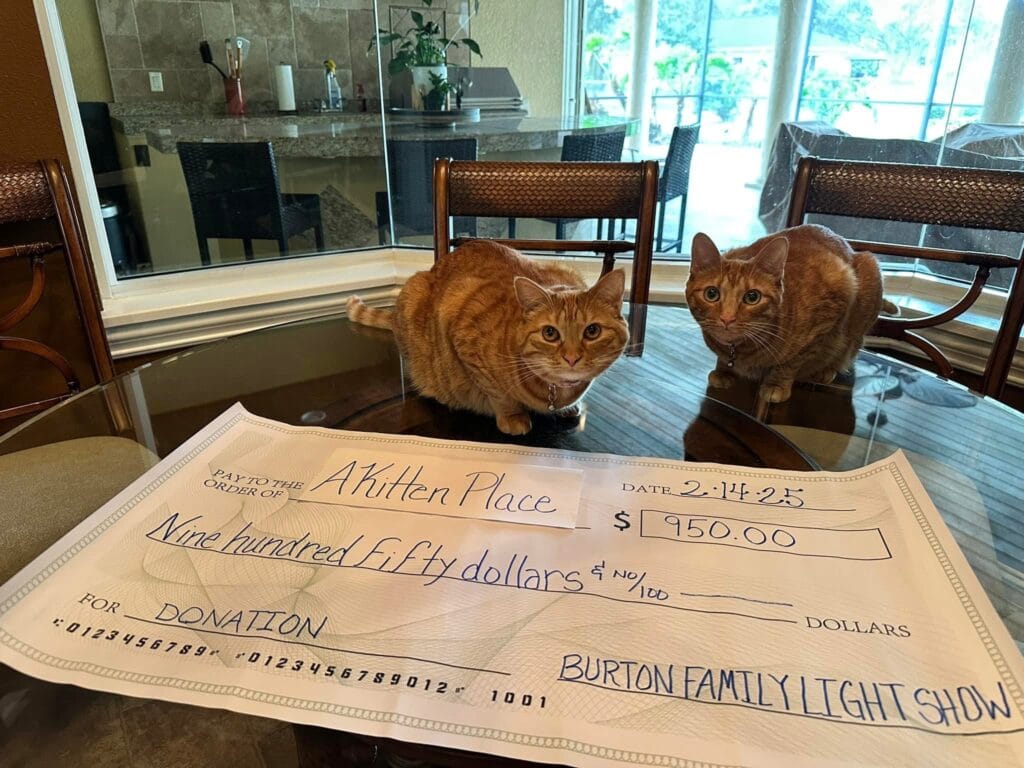 Burton Family Lights