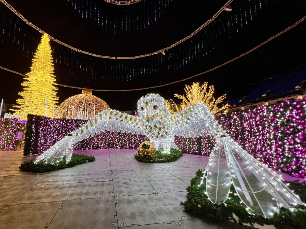 Christmas Lights! See the Best Holiday Lights in Tampa St Pete Clearwater