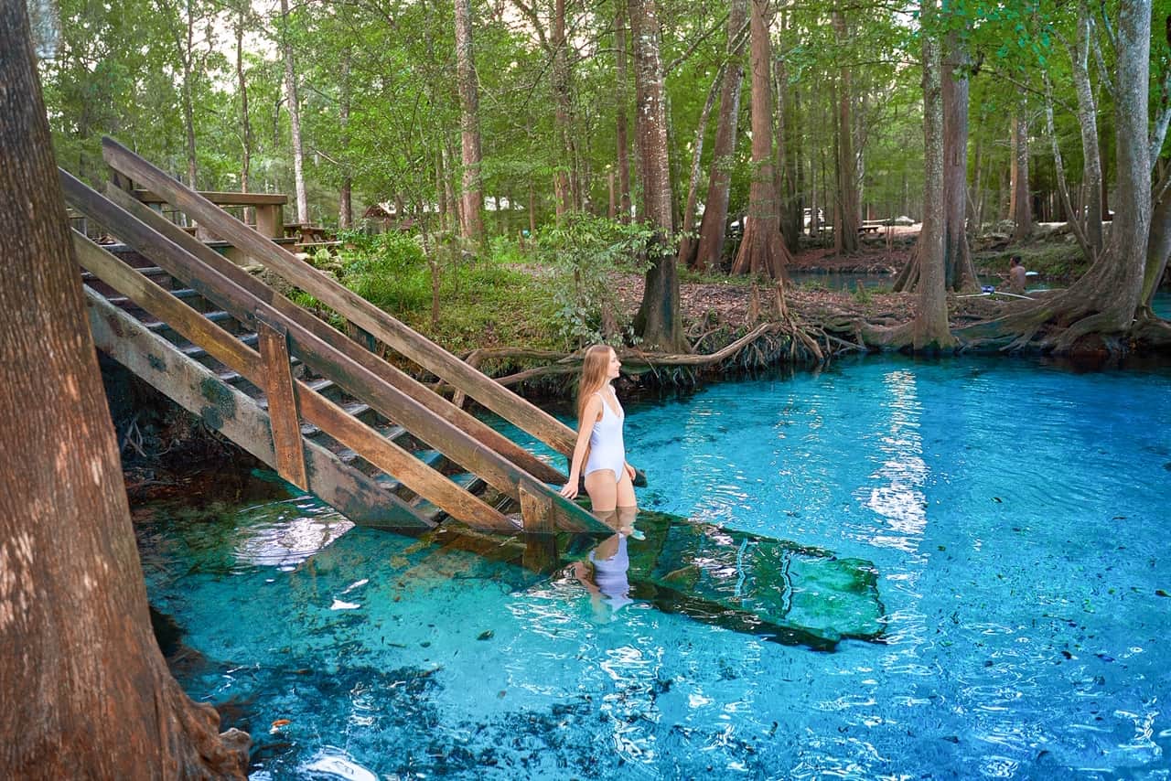 Discovering Natural Springs Near Tampa: A Refreshing Escape - Tampa Bay  Parenting