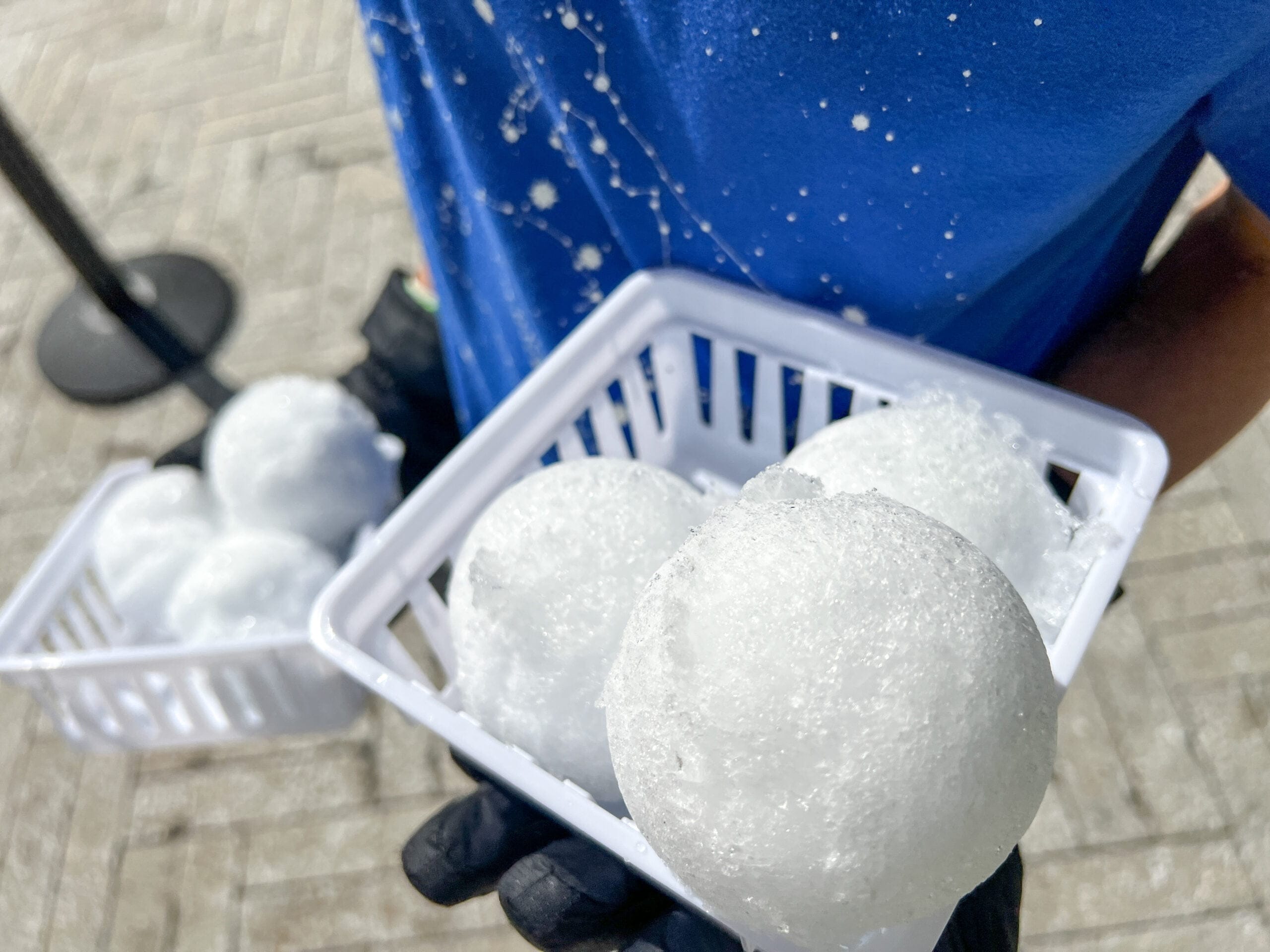 Snow Days at The Florida Aquarium Snowballs