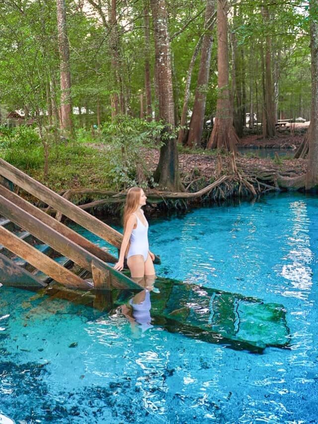 Discovering Natural Springs Near Tampa: A Refreshing Escape