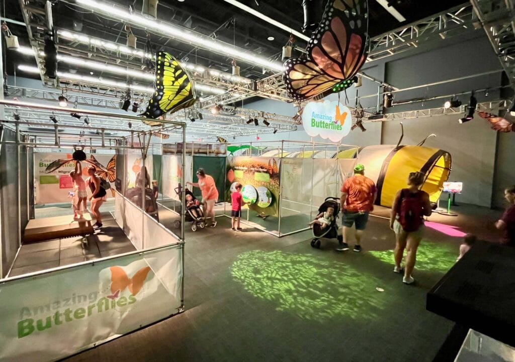 MOSI Butterfly Exhibit