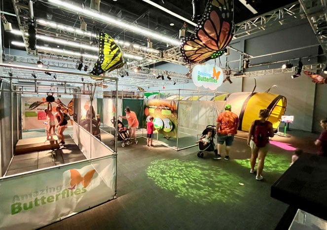 NEW at MOSI: a-MAZE-ing Butterflies exhibit