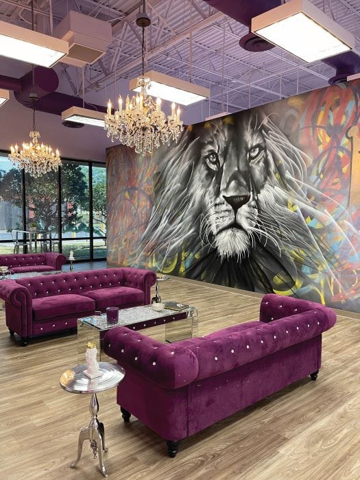 Imagine Orthodontic Studio Tampa