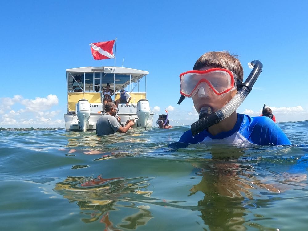 tampa bay watch sandbar snorkel