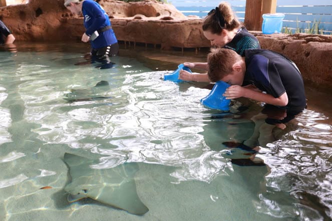 The BEST Things to Do Labor Day Weekend in Tampa Bay