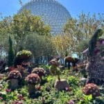 A Parent’s Guide to EPCOT International Flower and Garden Festival 2025