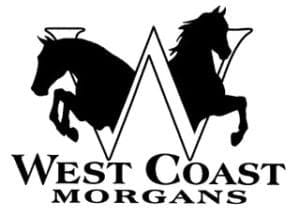 Best Horse Camp