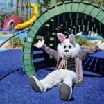 Easter egg hunts in Tampa Bay Easter Bunny Photos