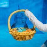 Celebrate Easter Weekend at Clearwater Marine Aquarium cover