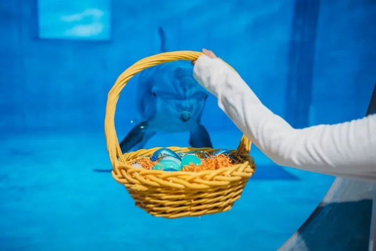 Celebrate Easter Weekend at Clearwater Marine Aquarium cover