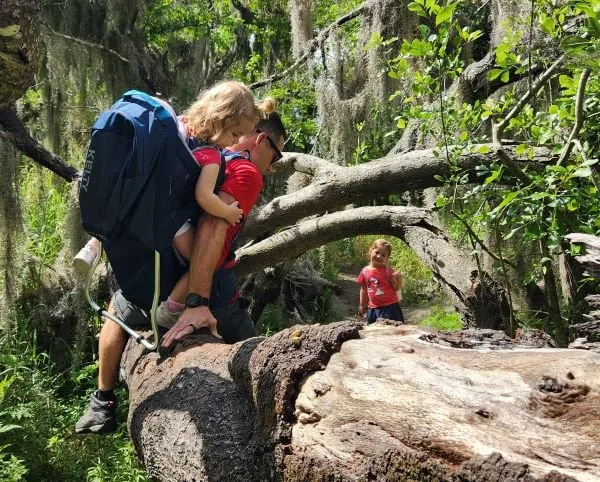 Hiking Myakka River State Park with kids