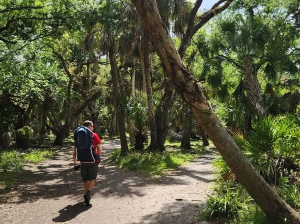 Exploring Myakka River State Park as a Family cover